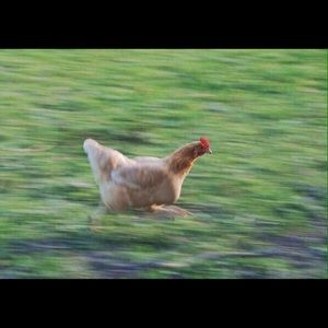 Meet your Posher, Debra